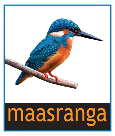 Maasranga TV